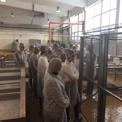 Rok szkolny 2016/2017