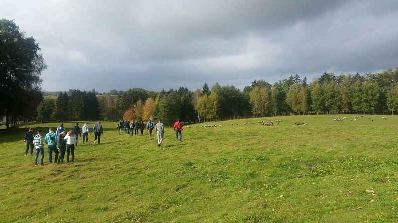 22251128 1403777783052084 1755189855 o