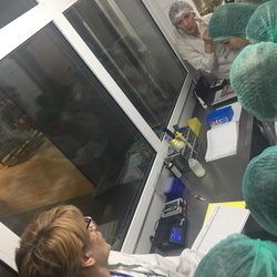 Rok szkolny 2017/2018